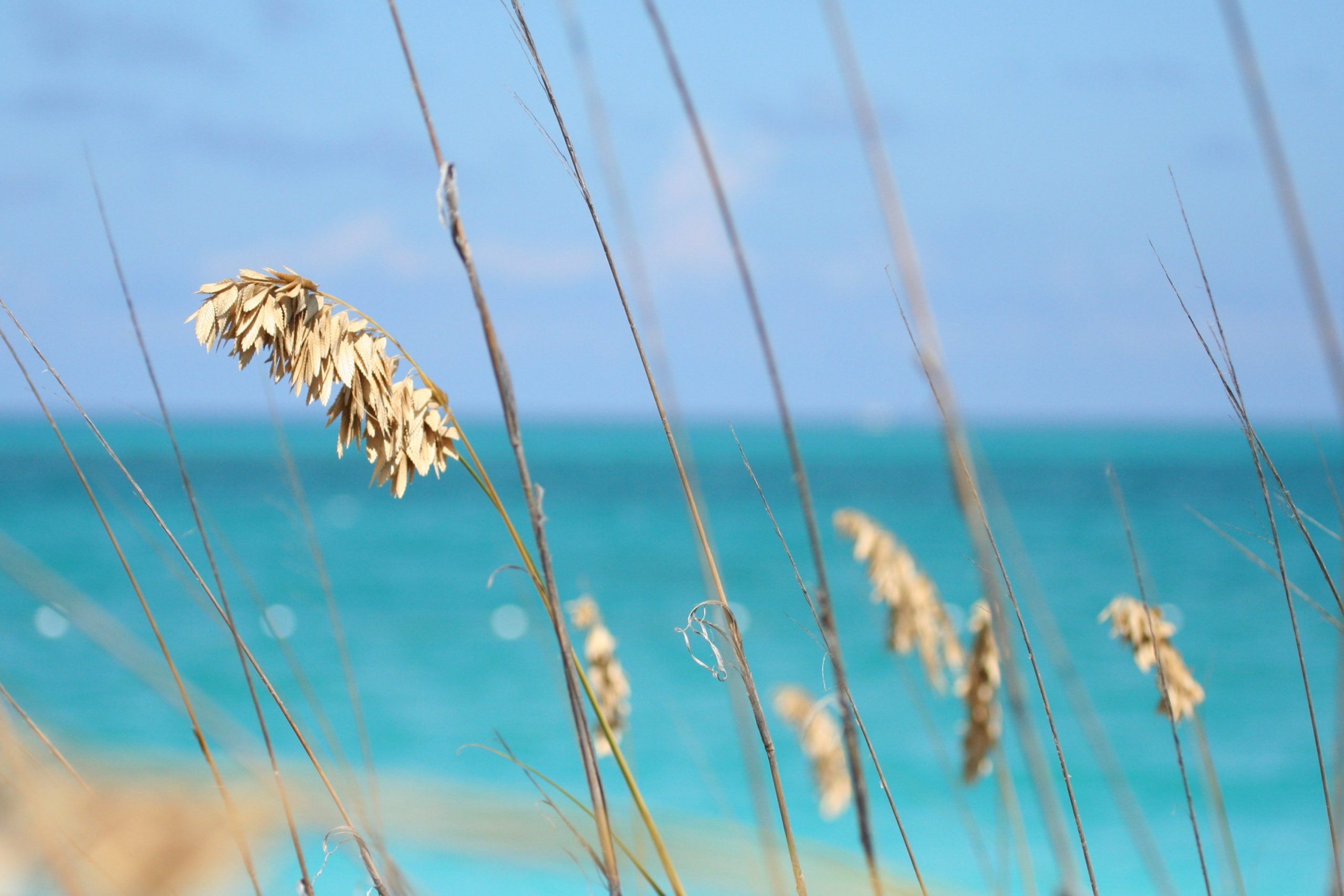 Exploring the Beauty of Grace Bay Beach: A Traveler's Paradise - HAB Group